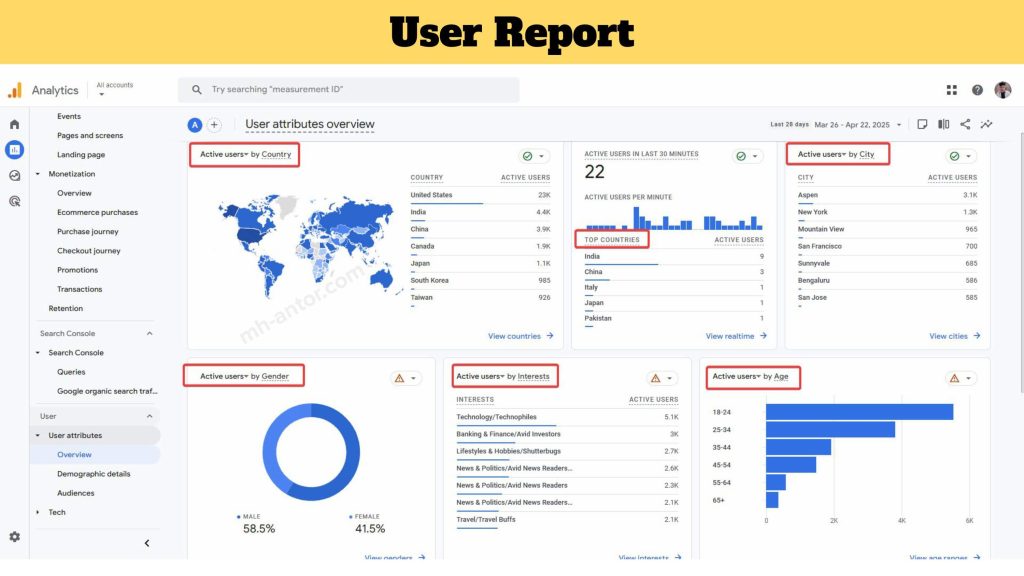 Google Analytics