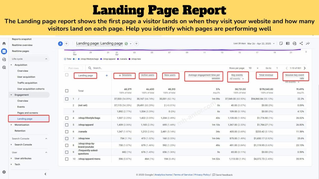 Google Analytics